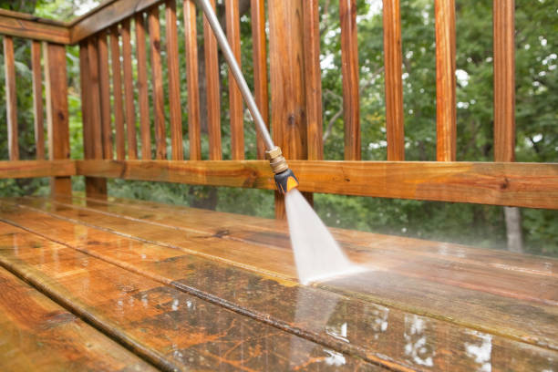 Best Roof Washing  in Richmond, CA